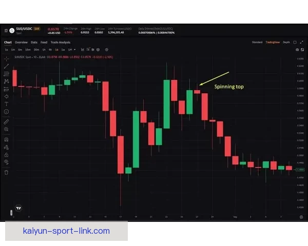 世界杯竞猜赔率变化背后的资金博弈与胜负概率趋势深度解析与预测策略